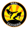 realcapoeira.pt